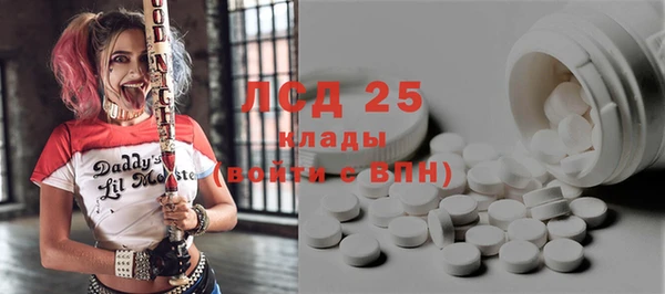 прущие грибы Абинск