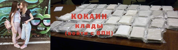 прущие грибы Абинск