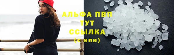 прущие грибы Абинск