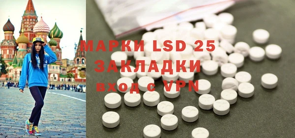 прущие грибы Абинск